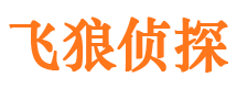 平陆市私家侦探